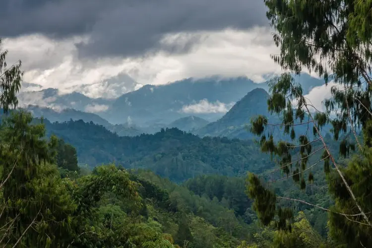 Pa'pahandangam dio Bambam