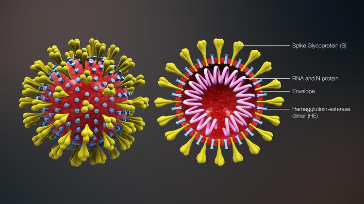ilustrasi_virus_corona_sumber_google.com
